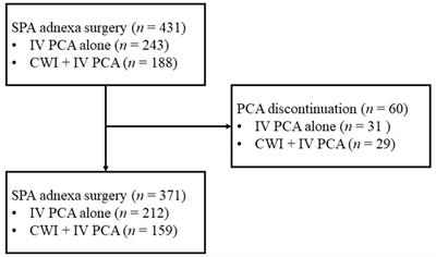 Efficacy of a continuous wound infiltration system for postoperative pain management in gynecologic patients who underwent single-port access laparoscopy for adnexal disease
